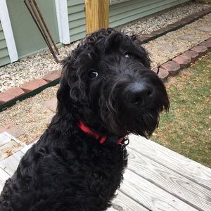 Meet your Posher, Amber